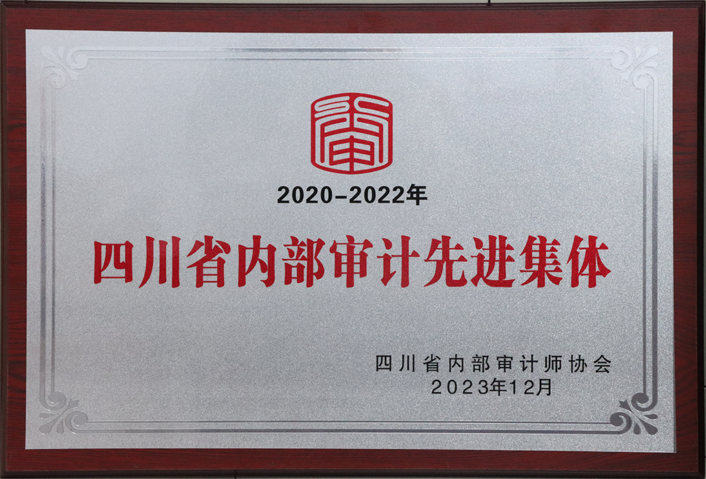 5-四川省内部审计先进集体.png